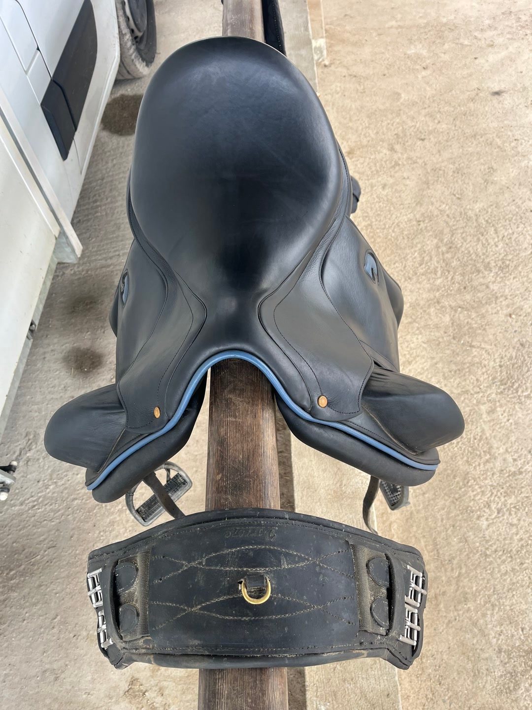 Selle Dressage, média 2