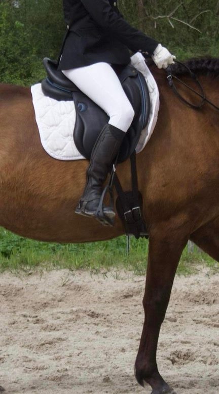 Selle Dressage, média 5