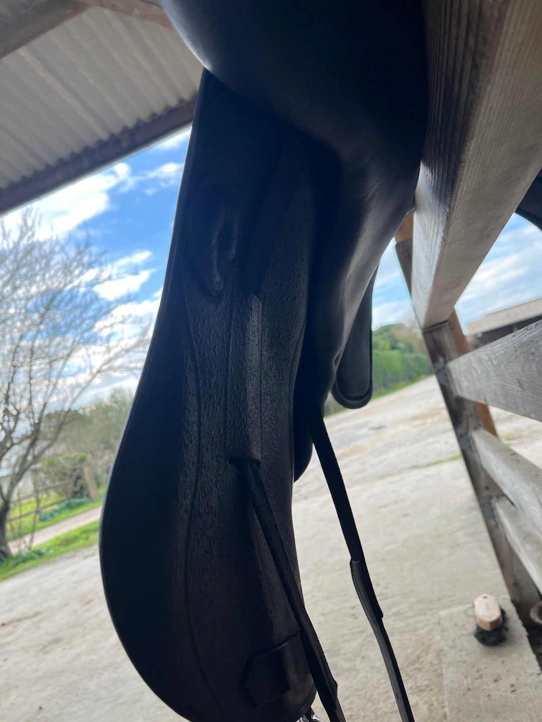 Selle Dressage, média 3