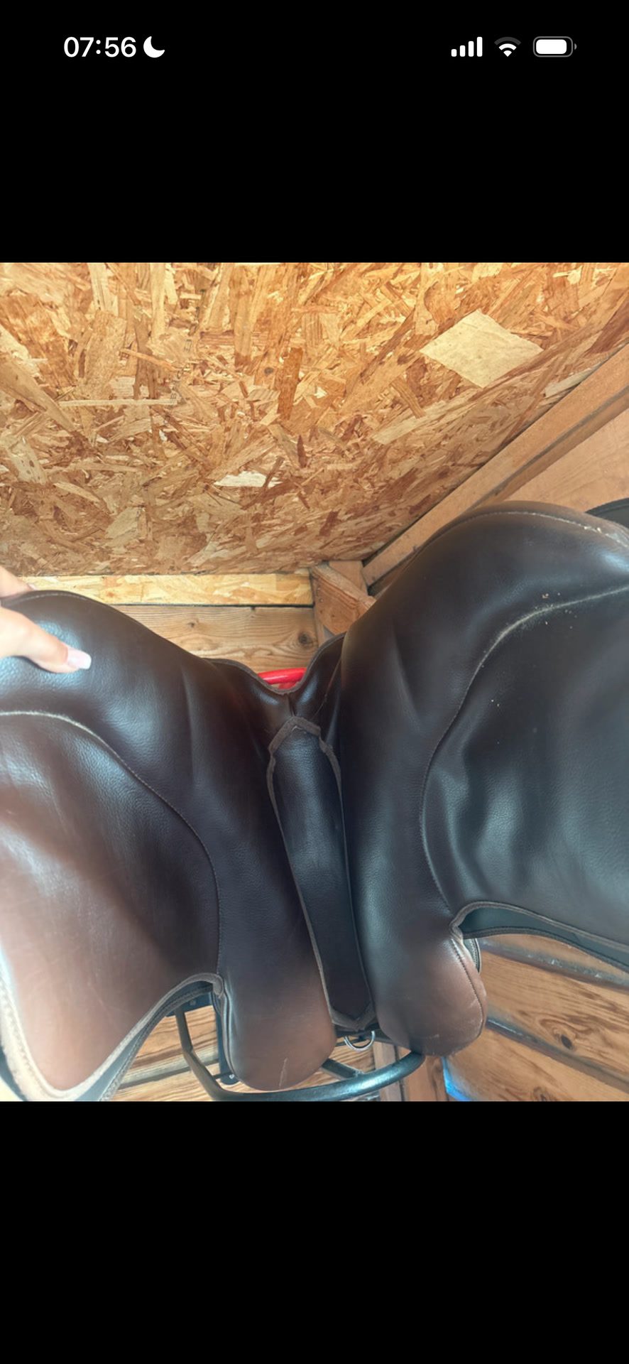 Selle d’équitation, média 3