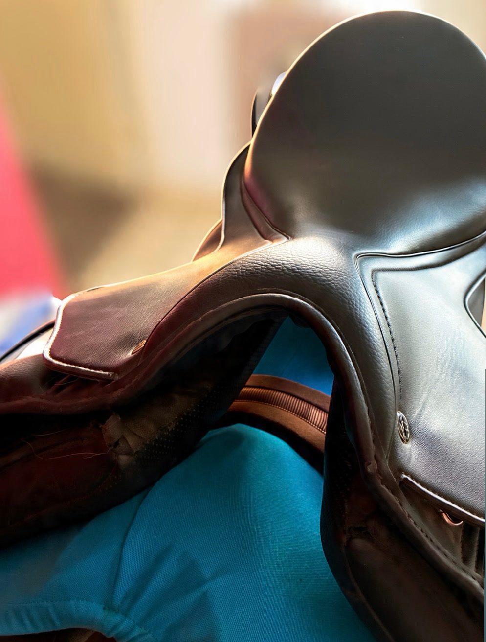 Selle anglaise, média 5