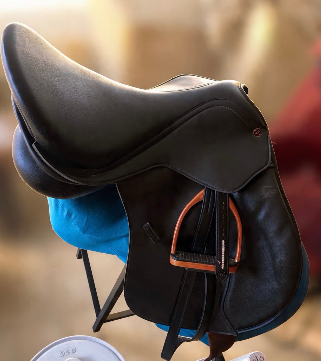 Selle anglaise, média 2