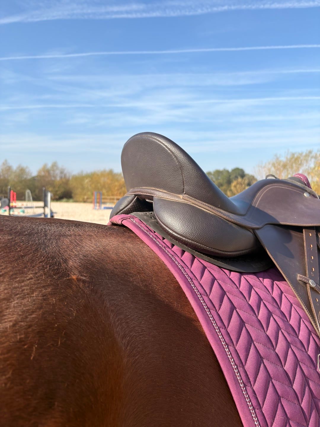 Selle wintec mixte, média 6