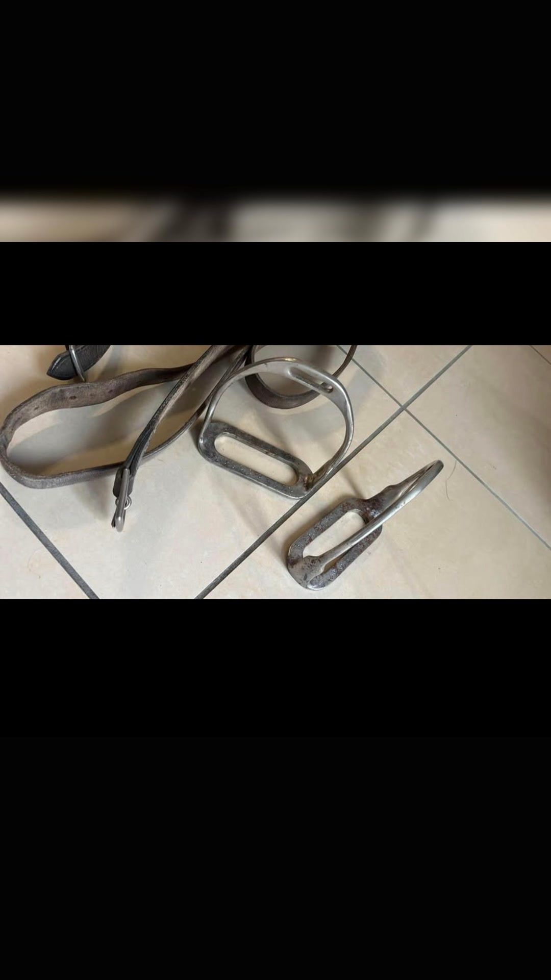 Selle Anglaise, média 5