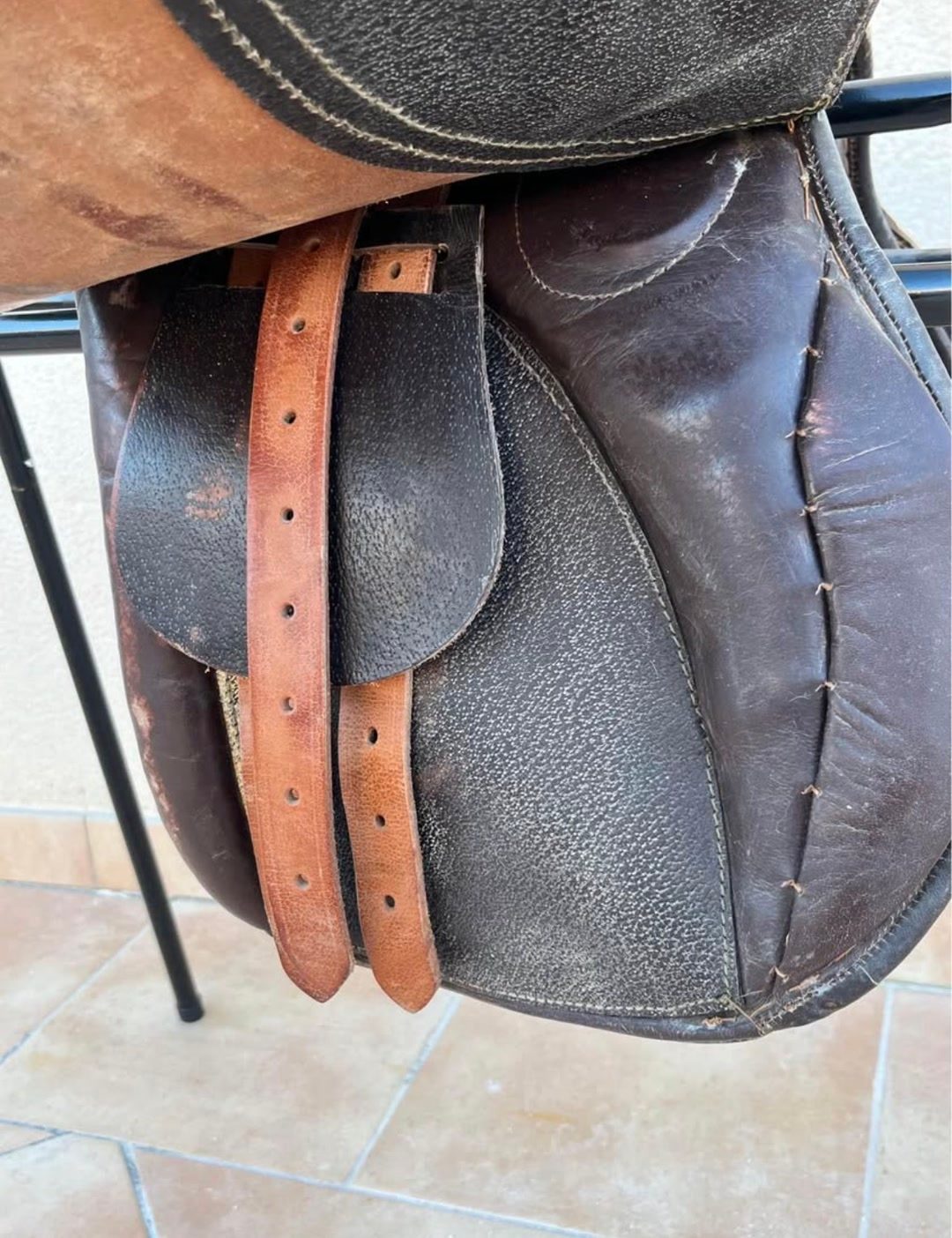 Selle Anglaise, média 2