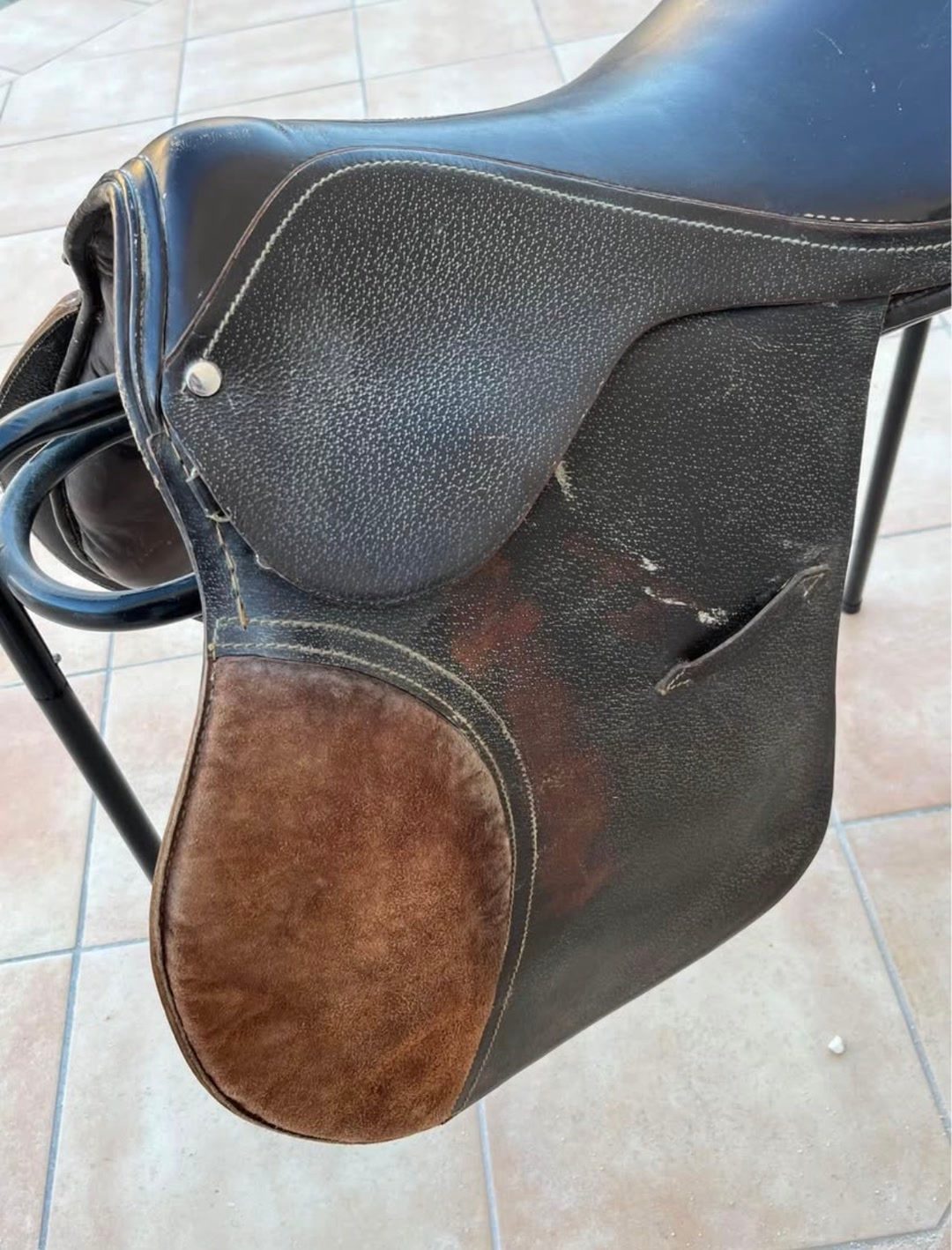 Selle Anglaise, média 3