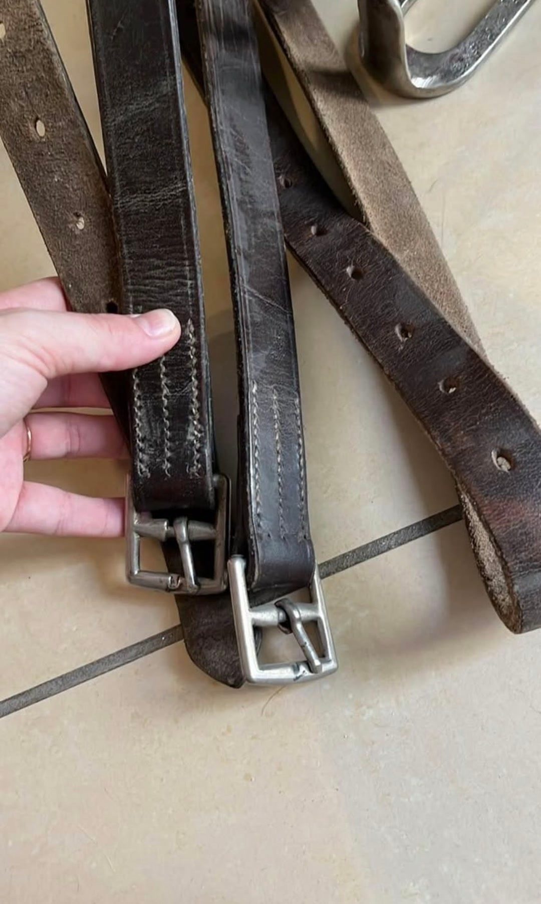 Selle Anglaise, média 4