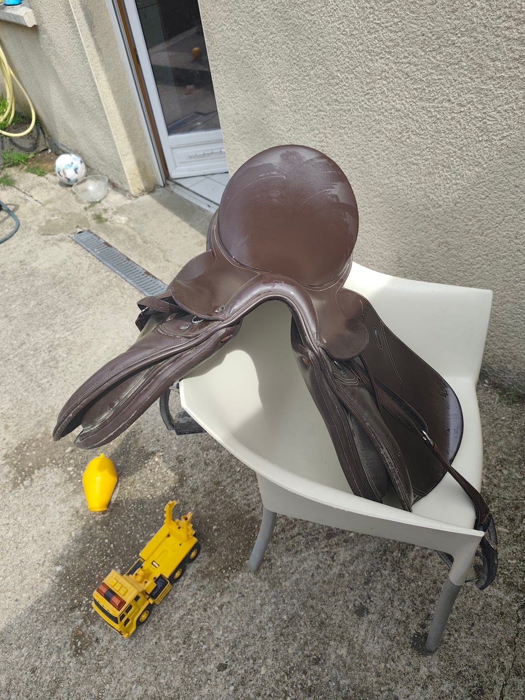 Selle teckna 17, média 2