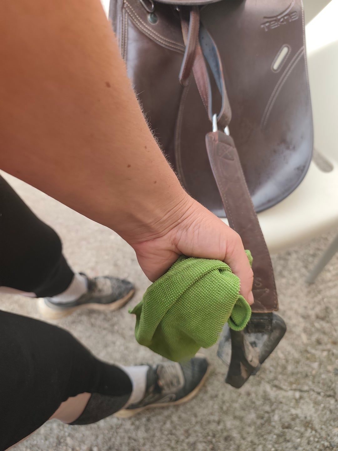 Selle teckna 17, média 5
