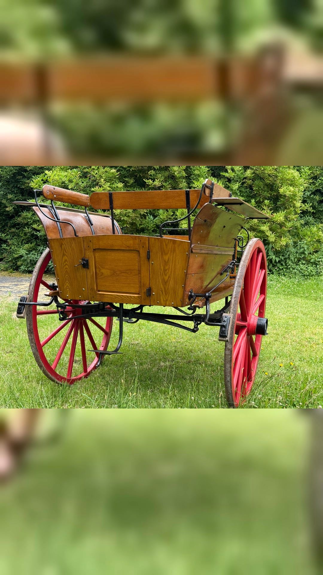 Calèche en bois, média 7