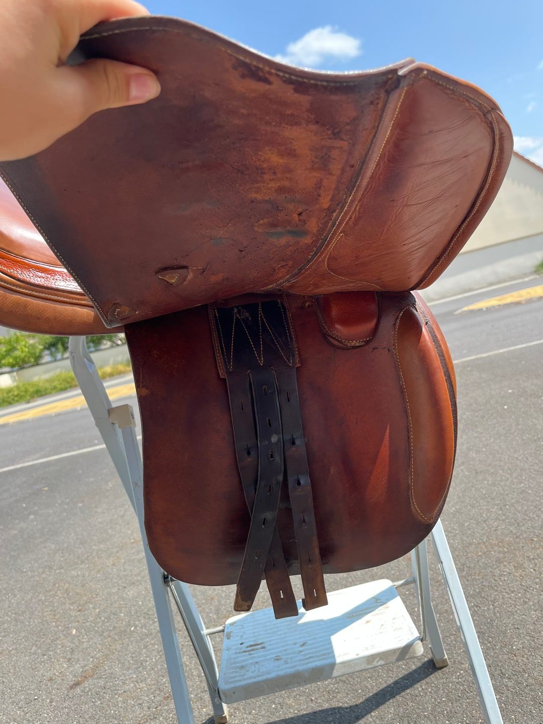 Selle, média 7