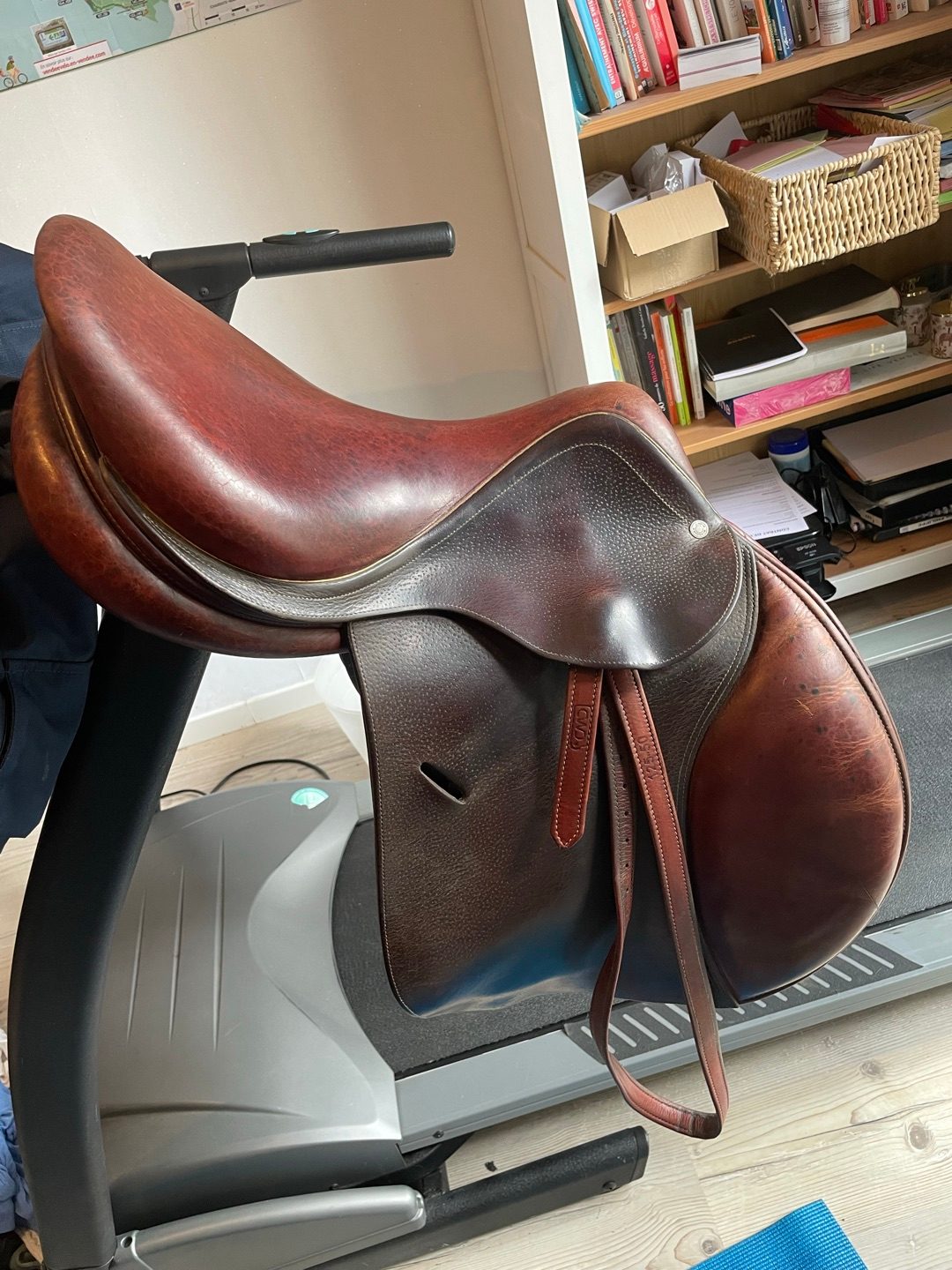 Selle Hervé Godignon Jumpin, média 3