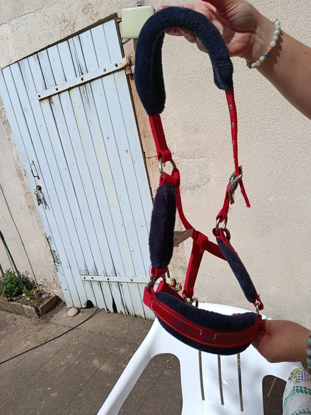 Licol sans longe, média 9