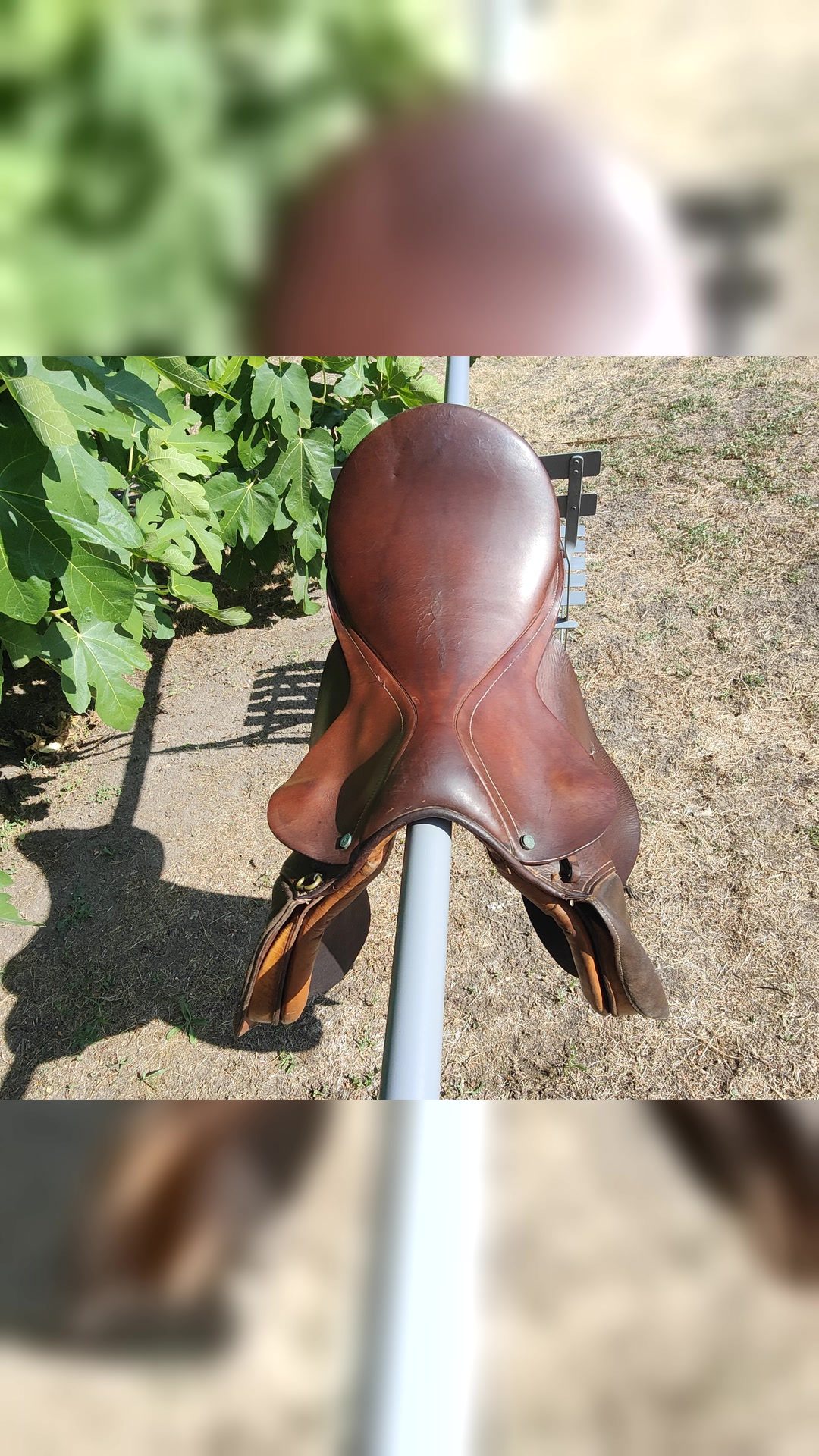 Selle mixte Terry's Quality Saddlery - 18 pouces, média 2