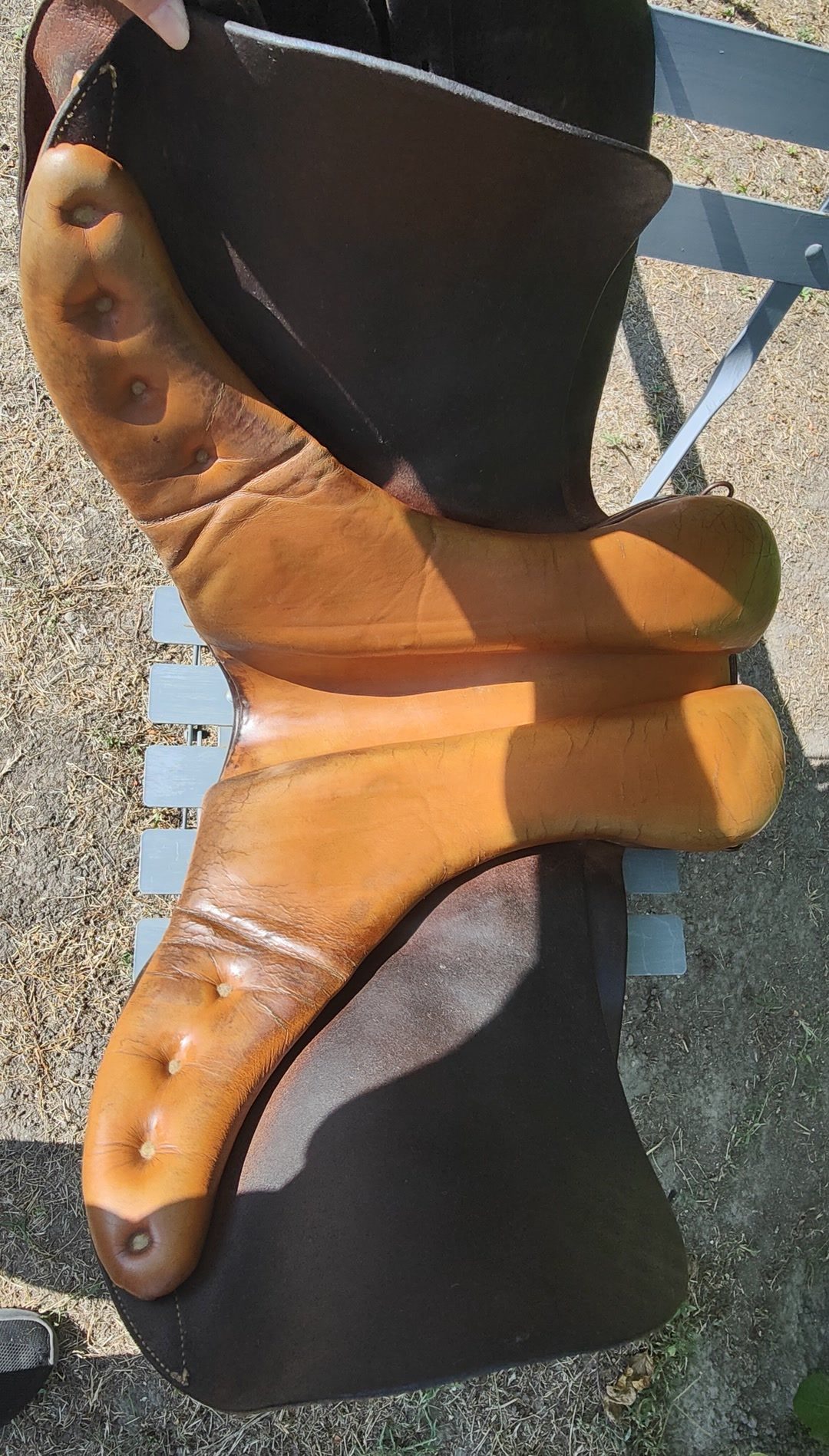 Selle mixte Terry's Quality Saddlery - 18 pouces, média 5