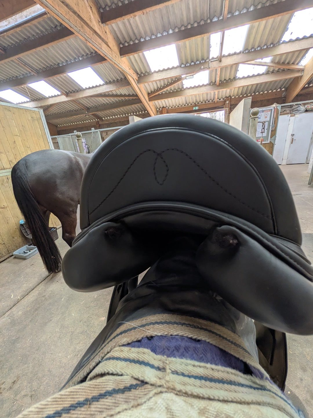 Selle dressage s, média 4