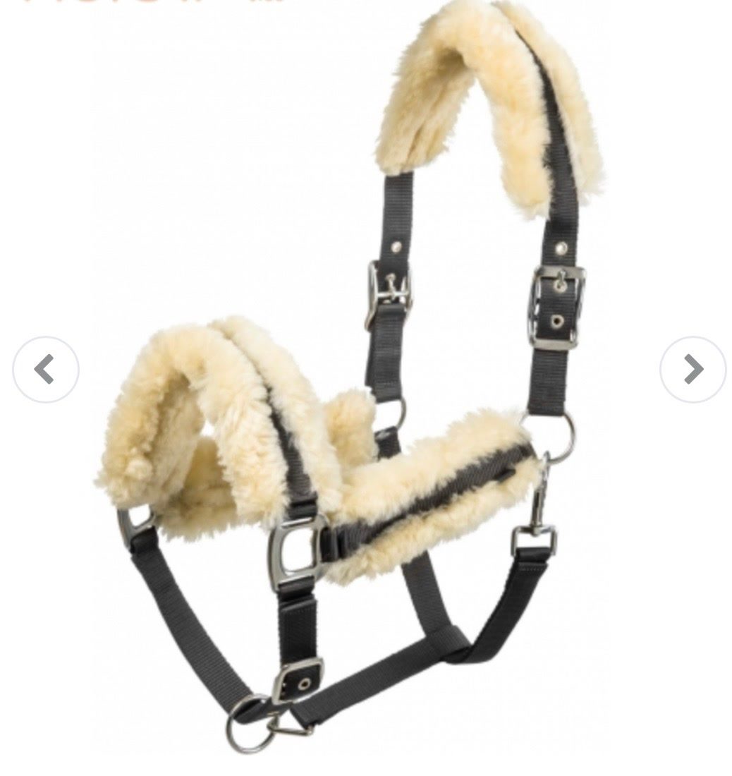 Licol Mouton Full, média 5