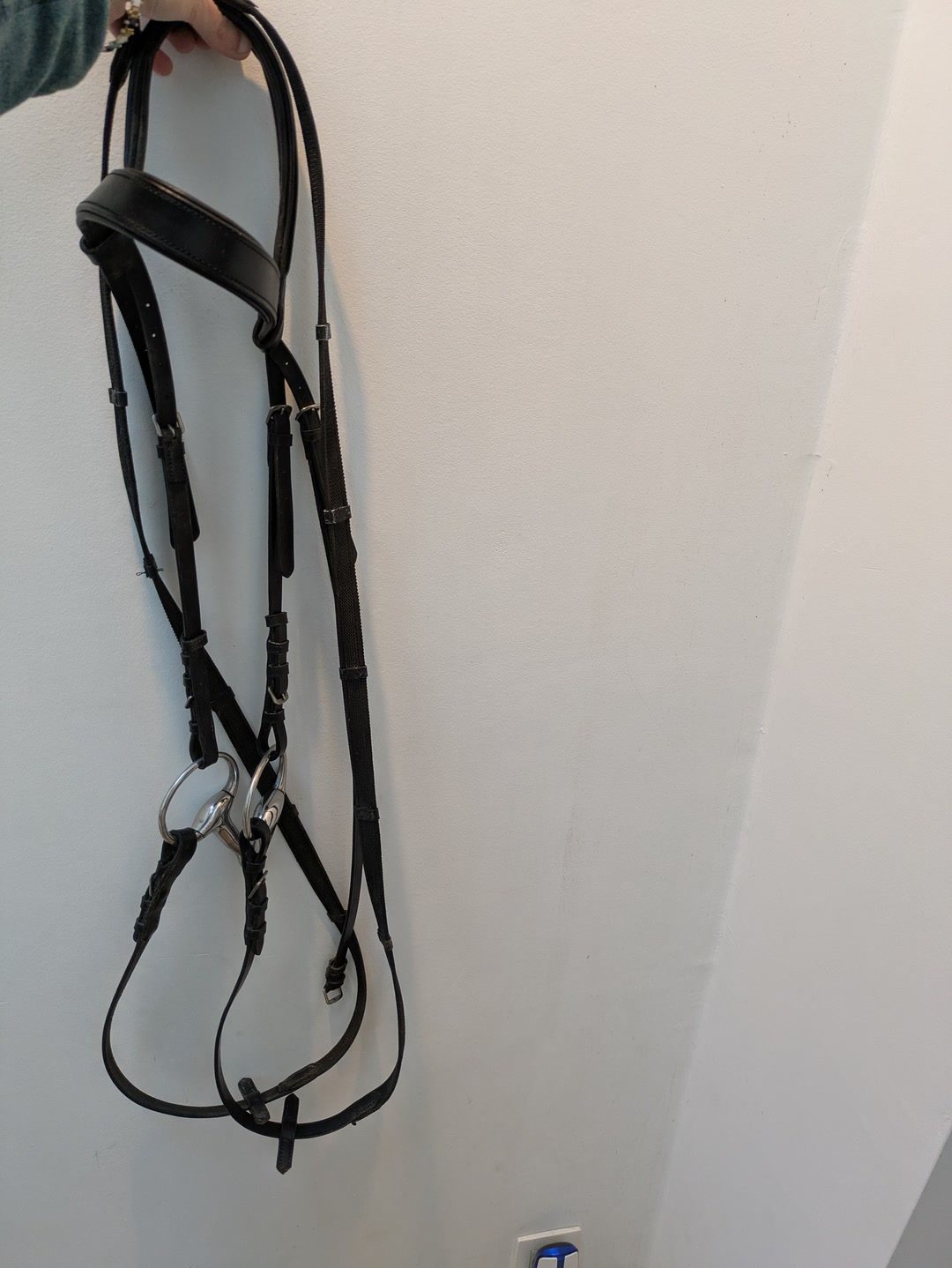 Bridon avec rênes en cuir noir, média 4