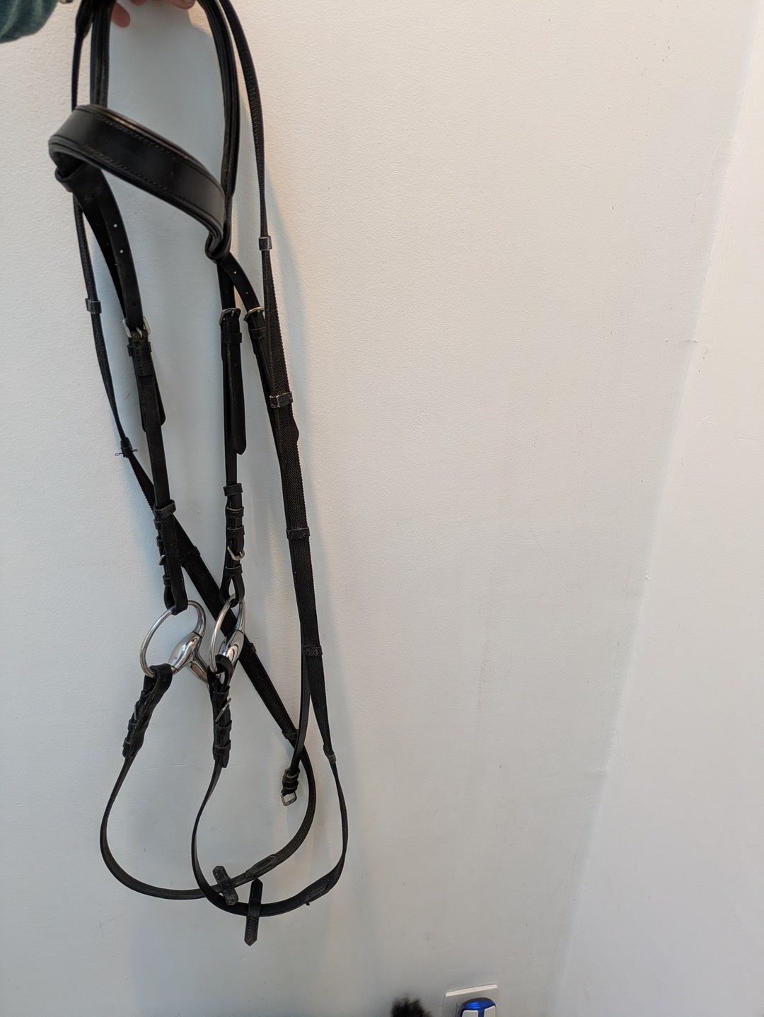 Bridon avec rênes en cuir noir, média 3