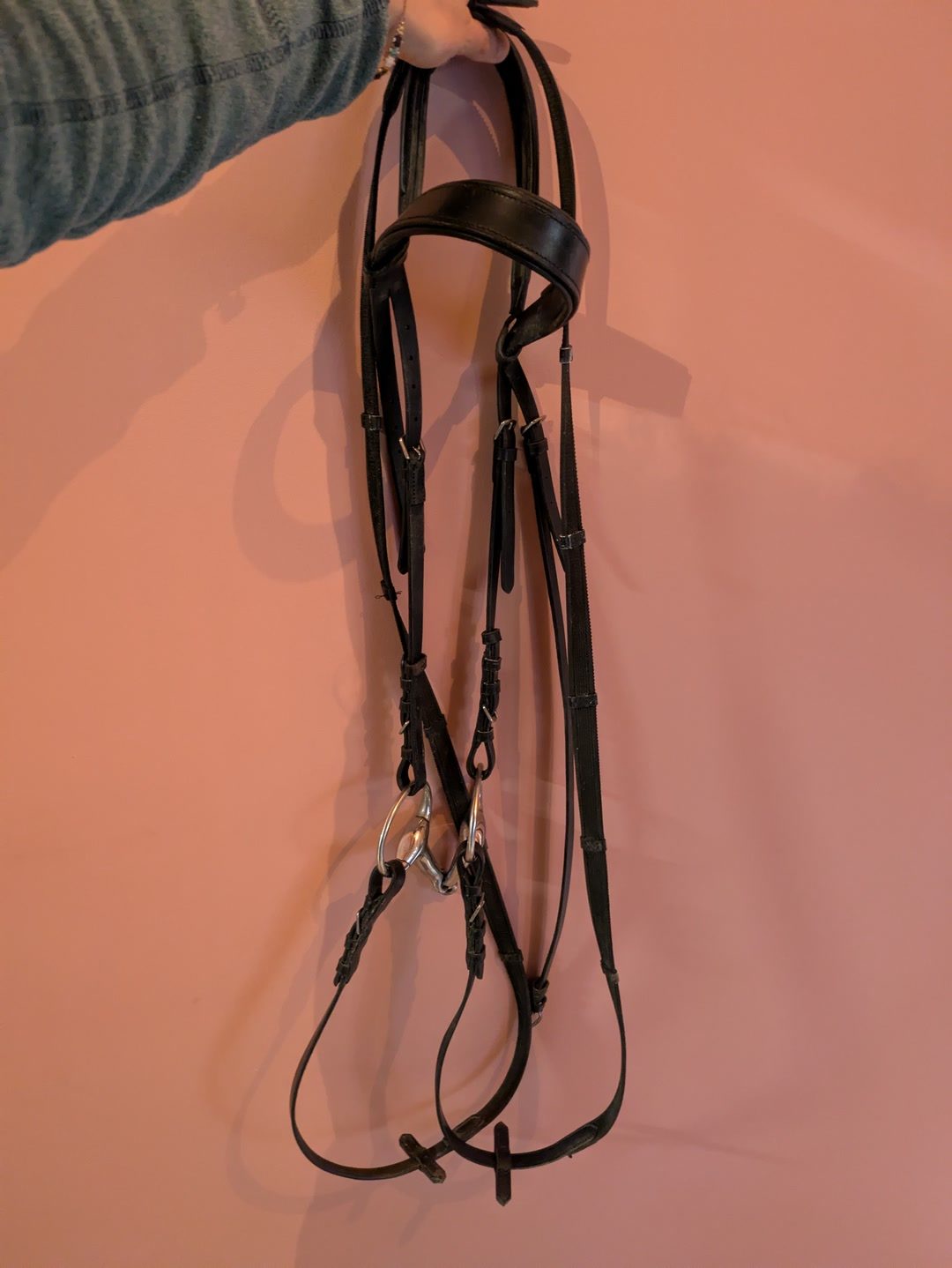 Bridon avec rênes en cuir noir, média 5