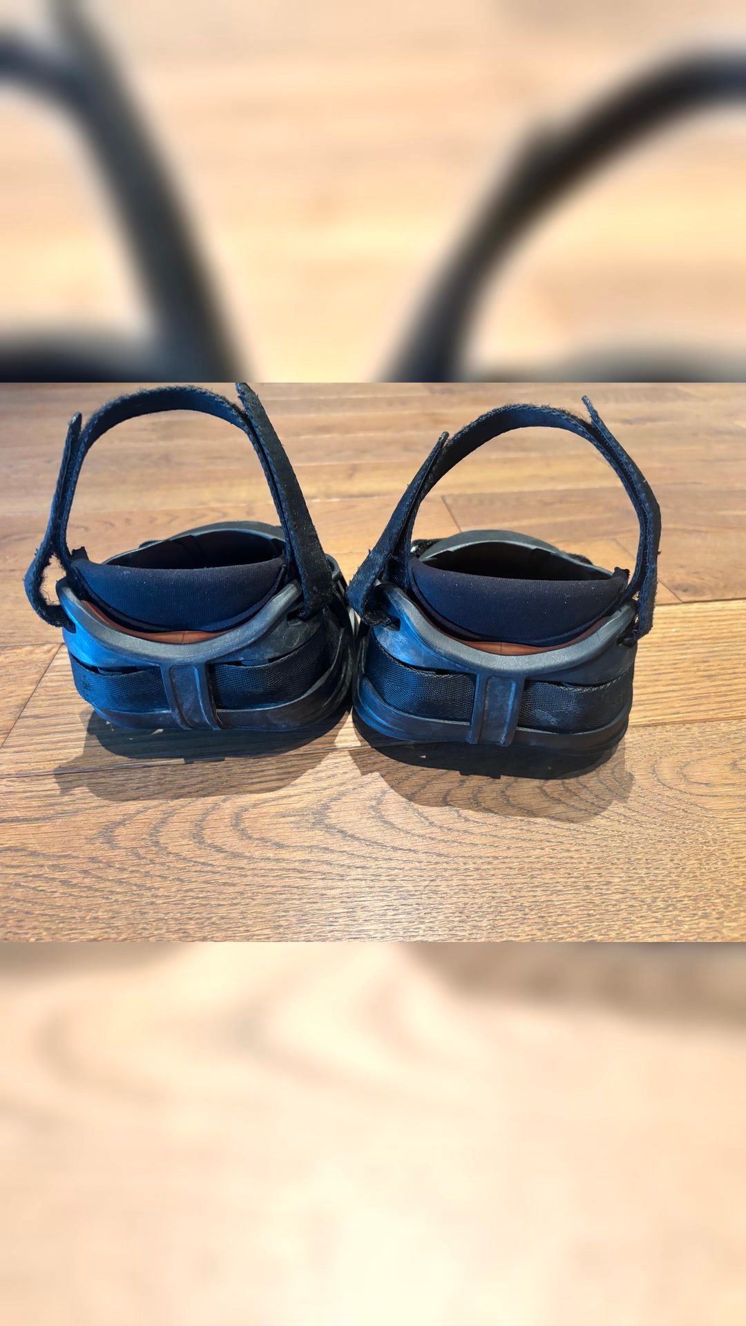 Swiss Galopper Hipposandale – Taille : SG7, média 2