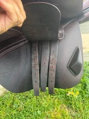 Selle CWD, média 8