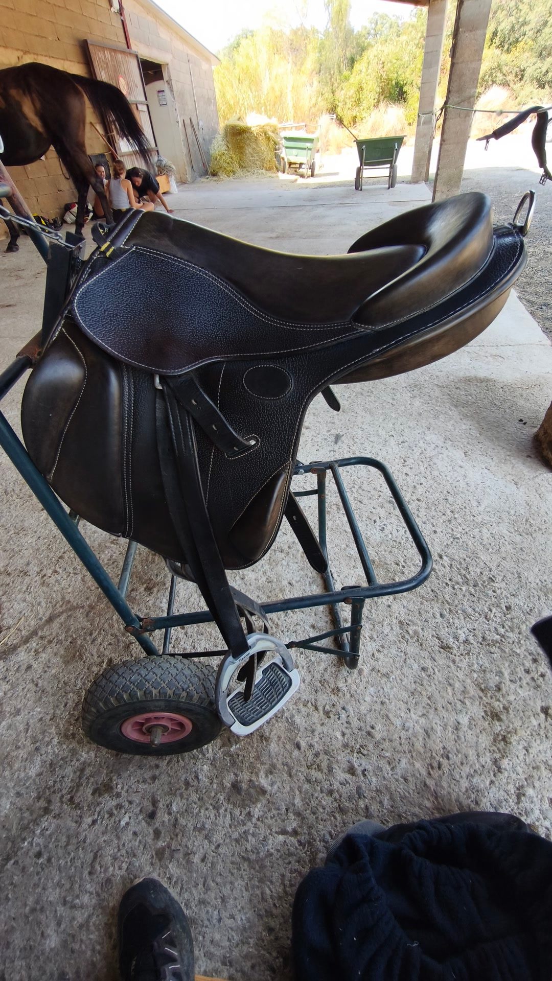 Selle Guy Cantin, média 2