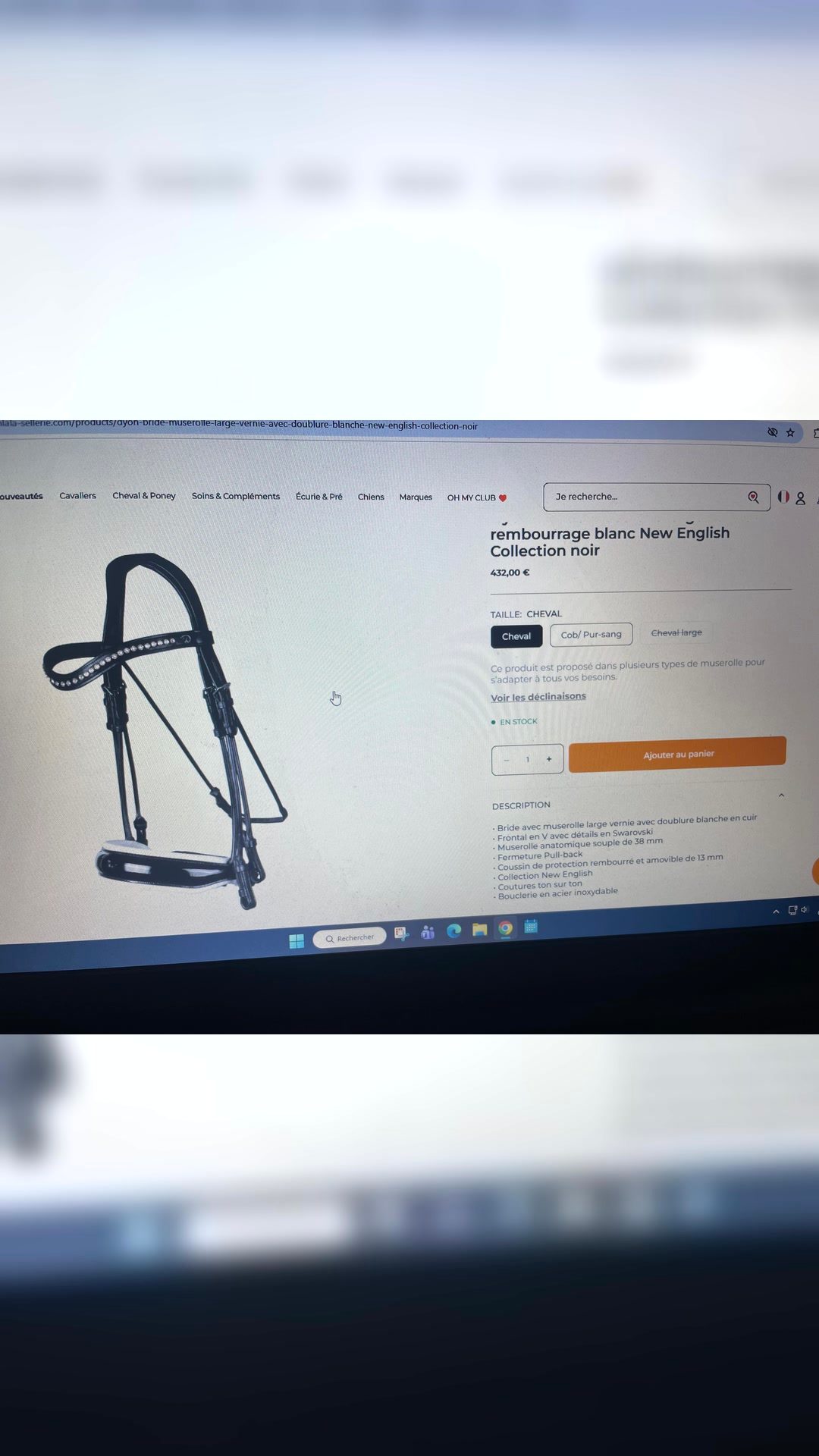 À vendre bride, média 3