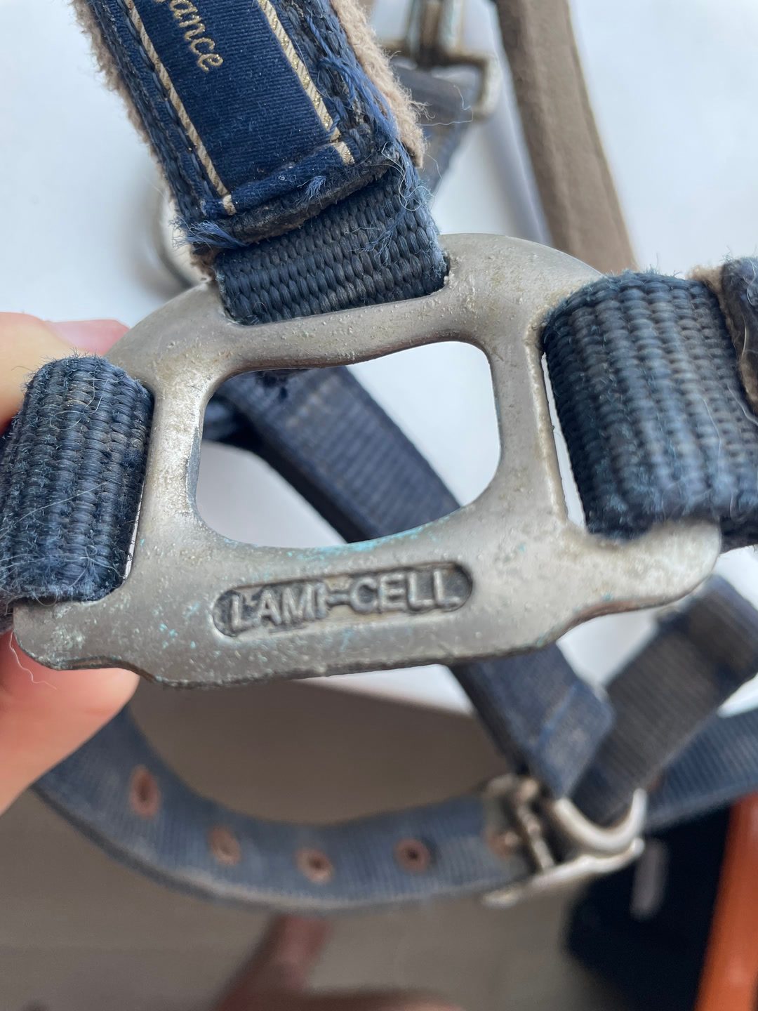 Licol bleu Lamicel, média 3