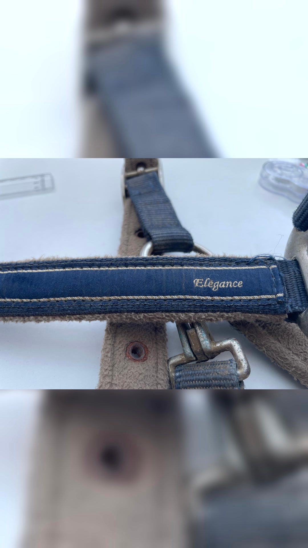 Licol bleu Lamicel, média 4