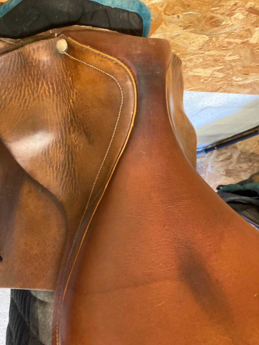 Selle mixte forestier 17,5, média 9