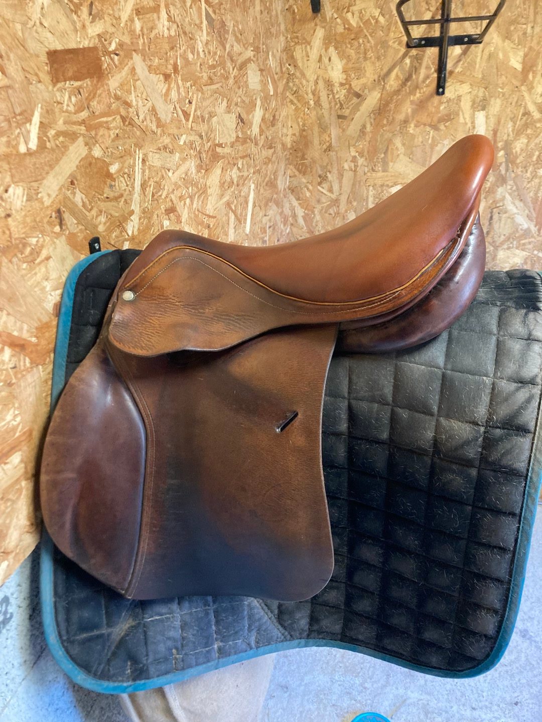 Selle mixte forestier 17,5, média 2