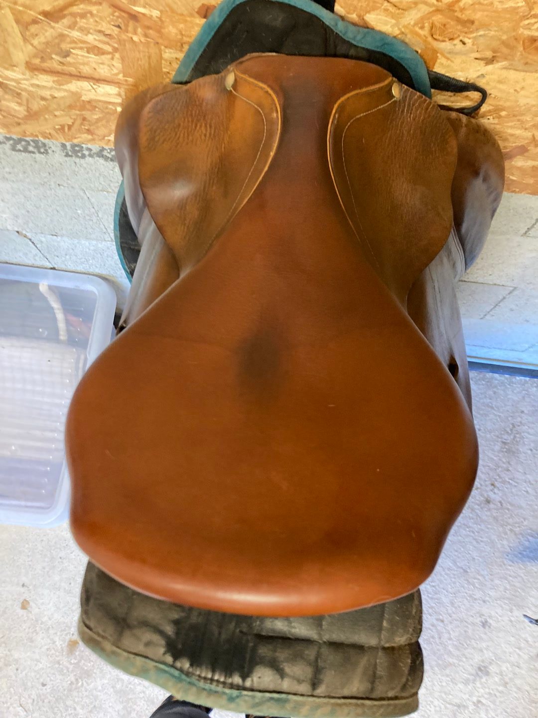 Selle mixte forestier 17,5, média 3