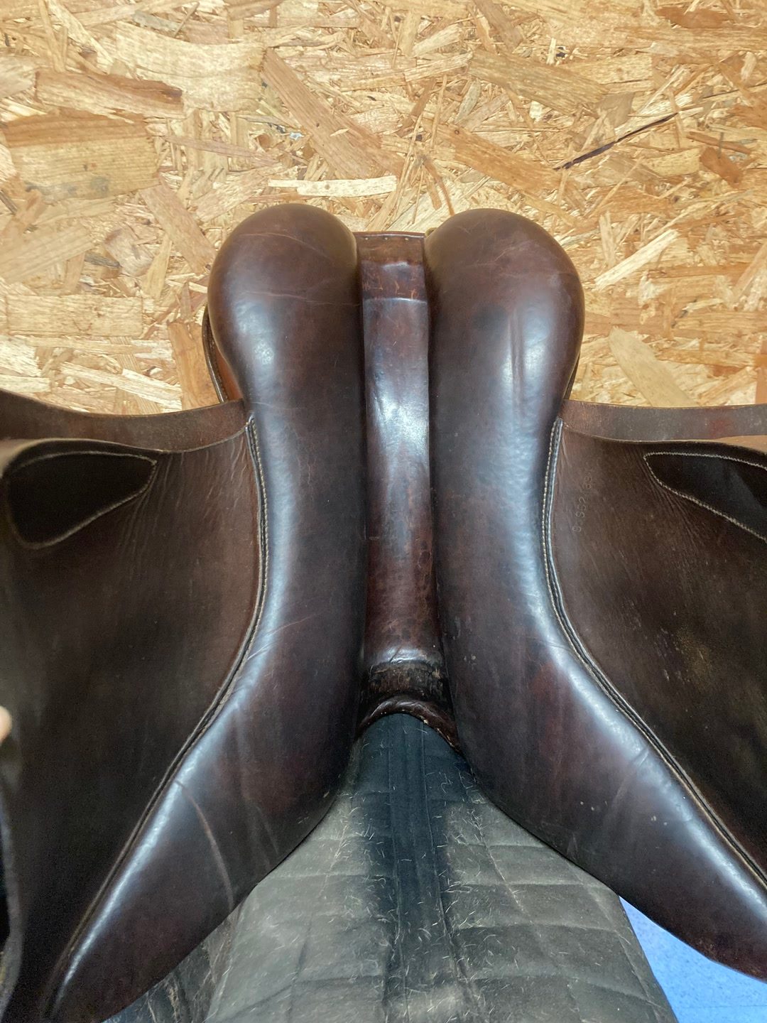 Selle mixte forestier 17,5, média 10