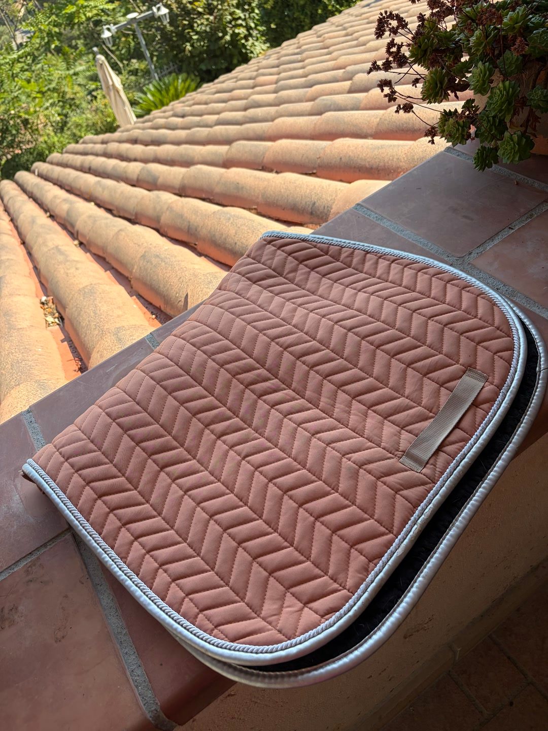 tapis harcour, média 4