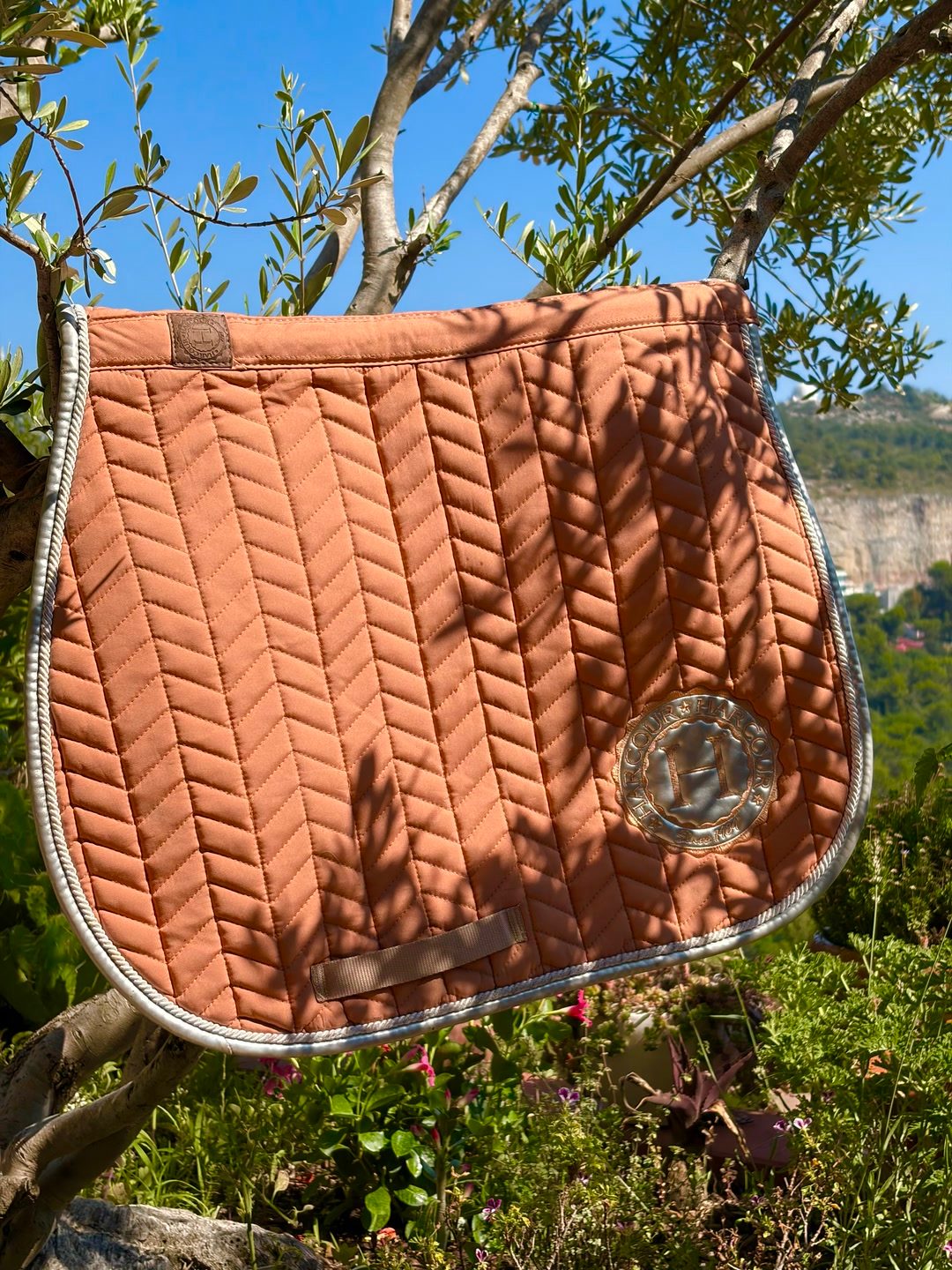 tapis harcour, média 2