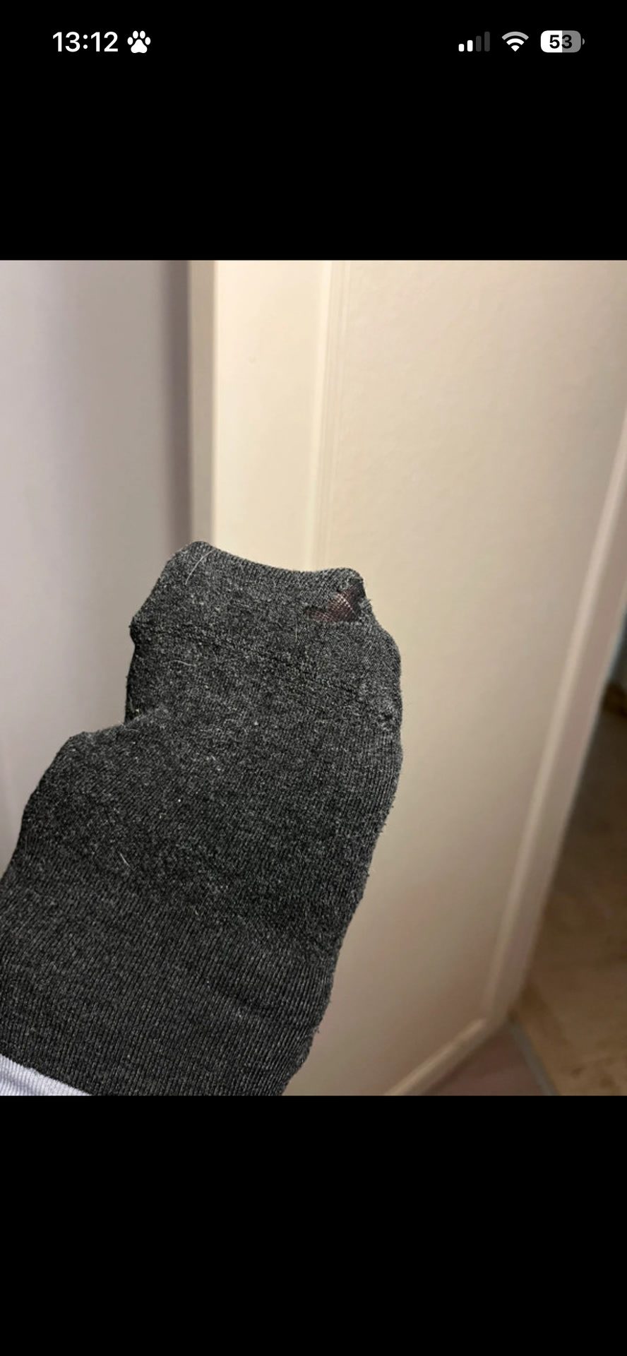 Chaussettes Pénélope, média 4