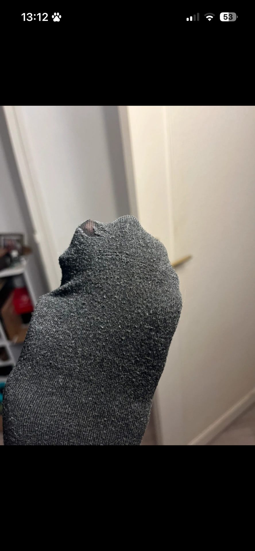 Chaussettes Pénélope, média 3