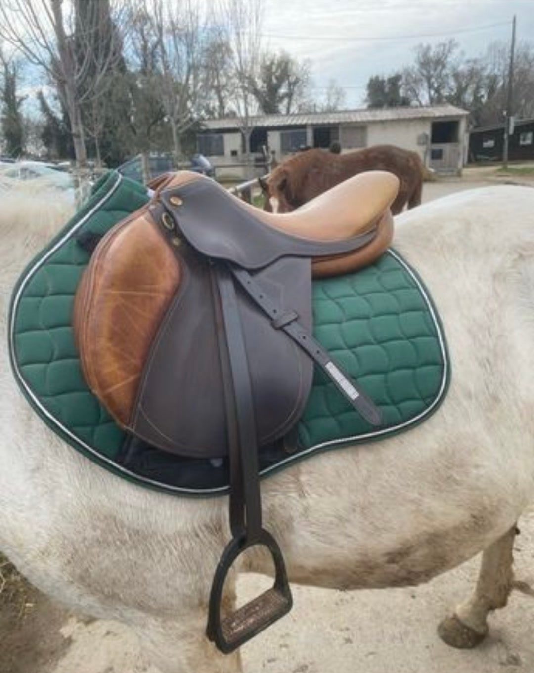 Selle mixte équitation Eric Thomas 17 pouces, média 2