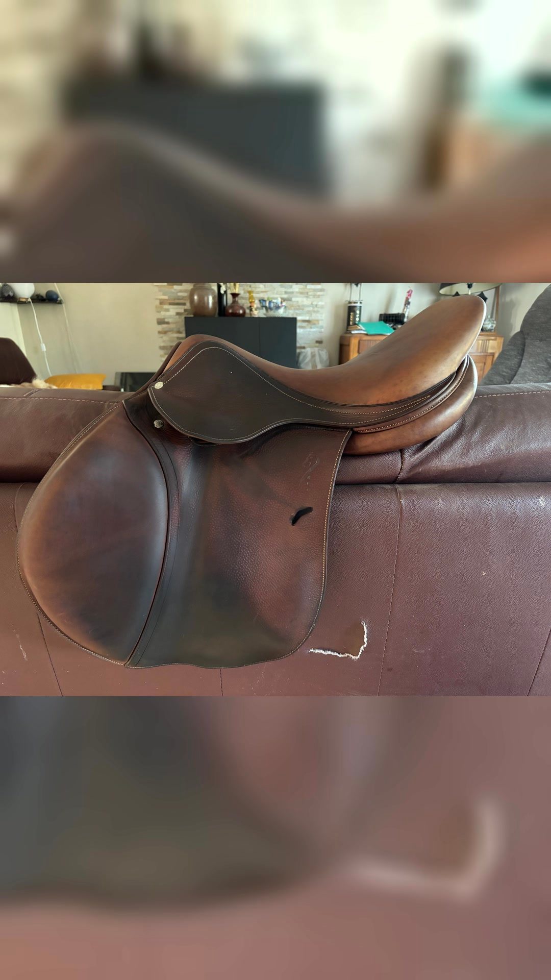 Selle Antarès, média 2