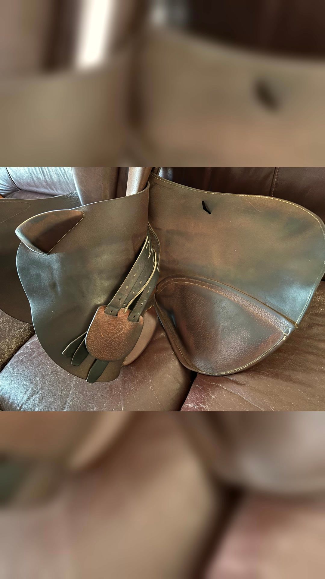 Selle Antarès, média 4