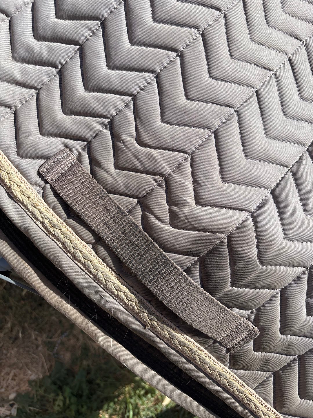 Tapis équithème, média 2