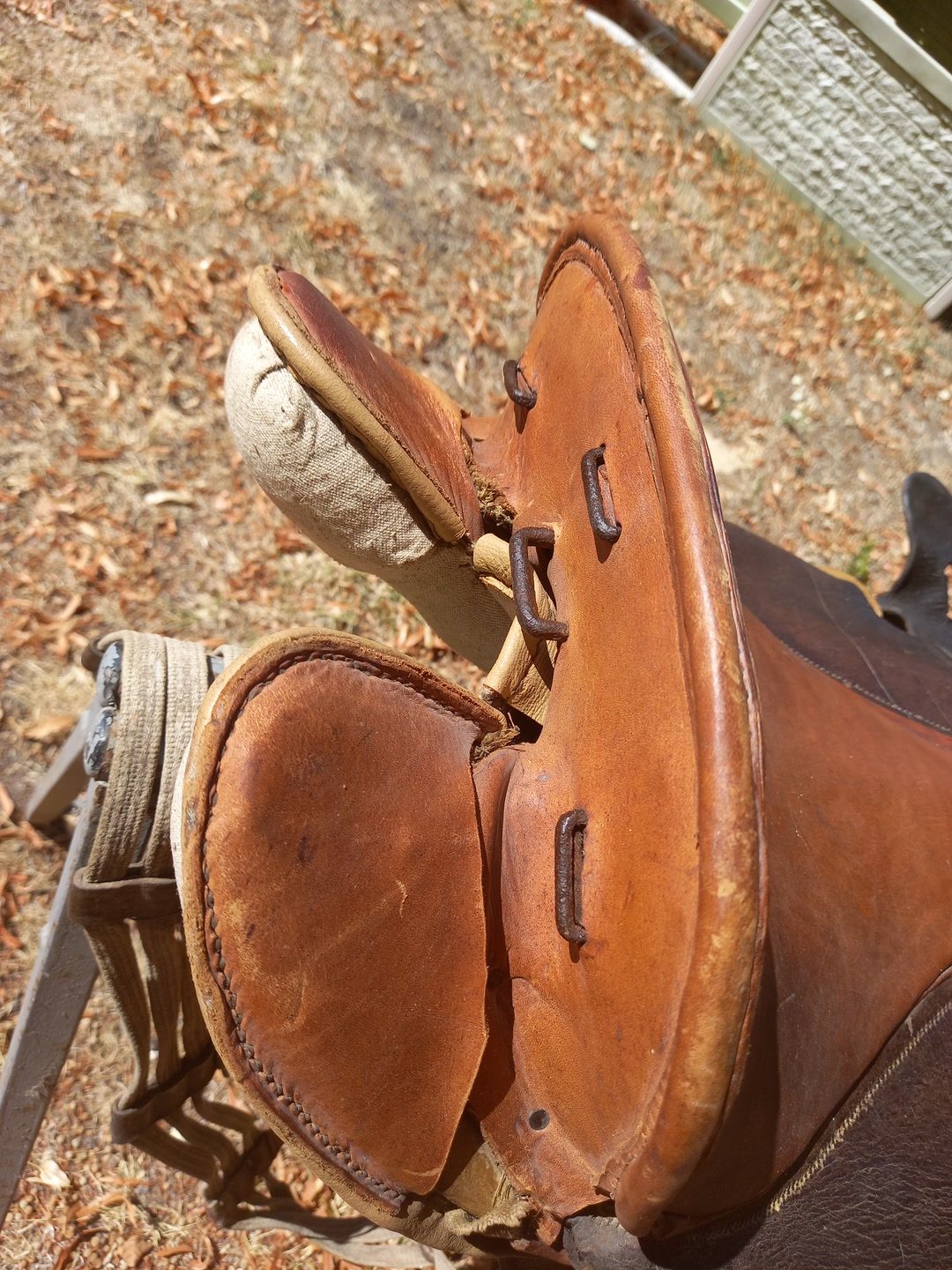 Selle cuir ancienne, média 3