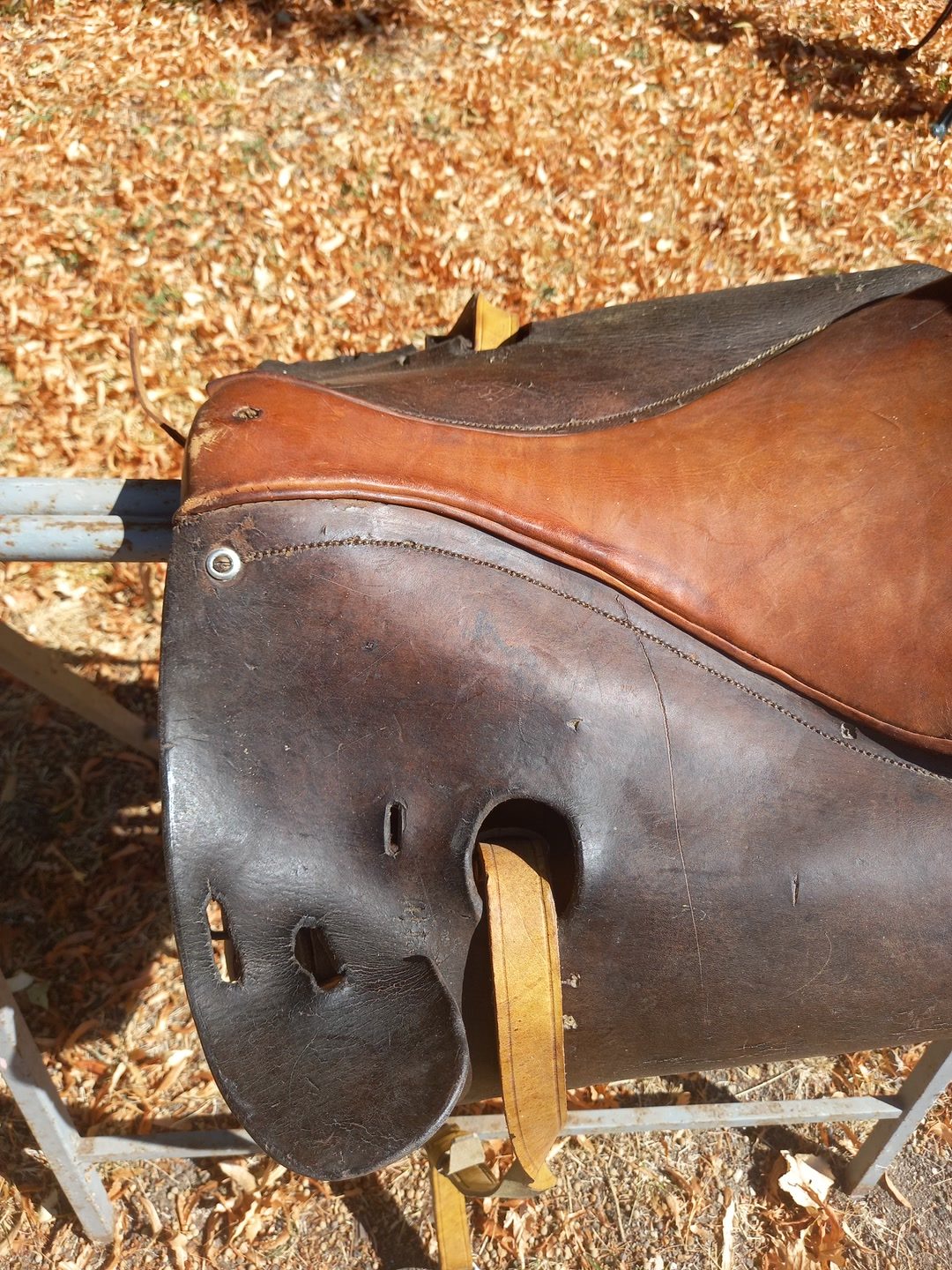 Selle cuir ancienne, média 5