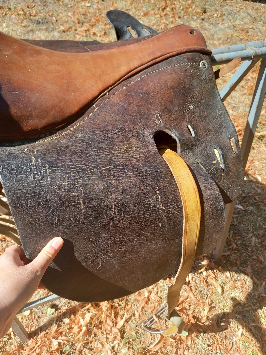 Selle cuir ancienne, média 2