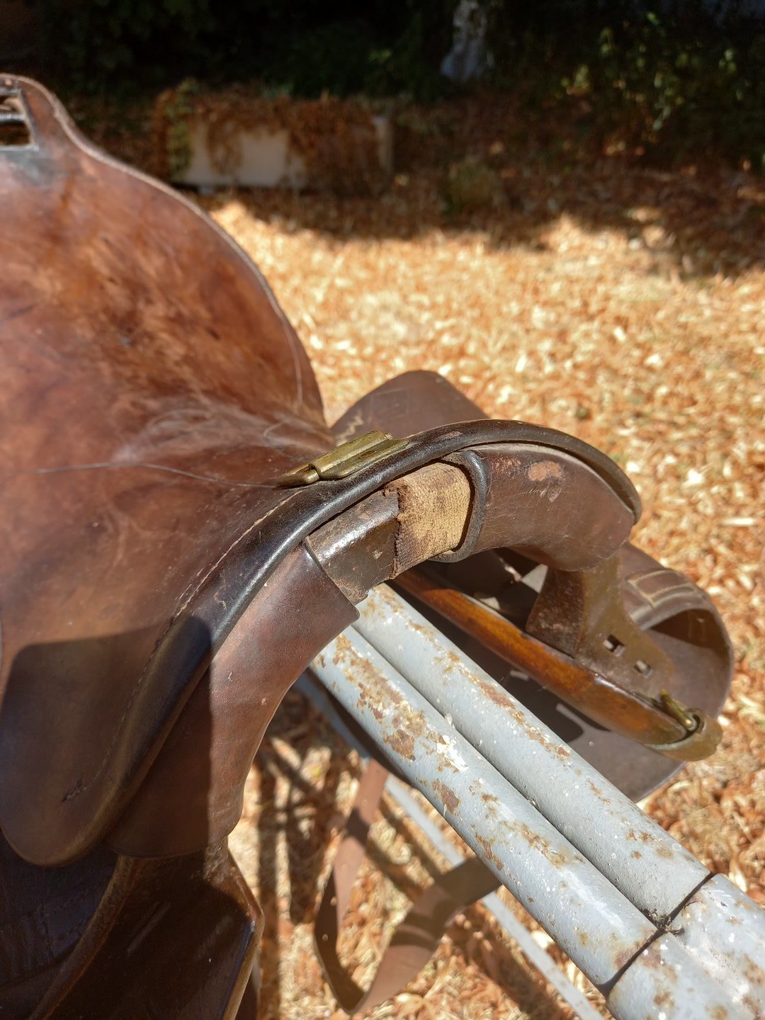 Selle ancienne cavalerie 1914, média 10