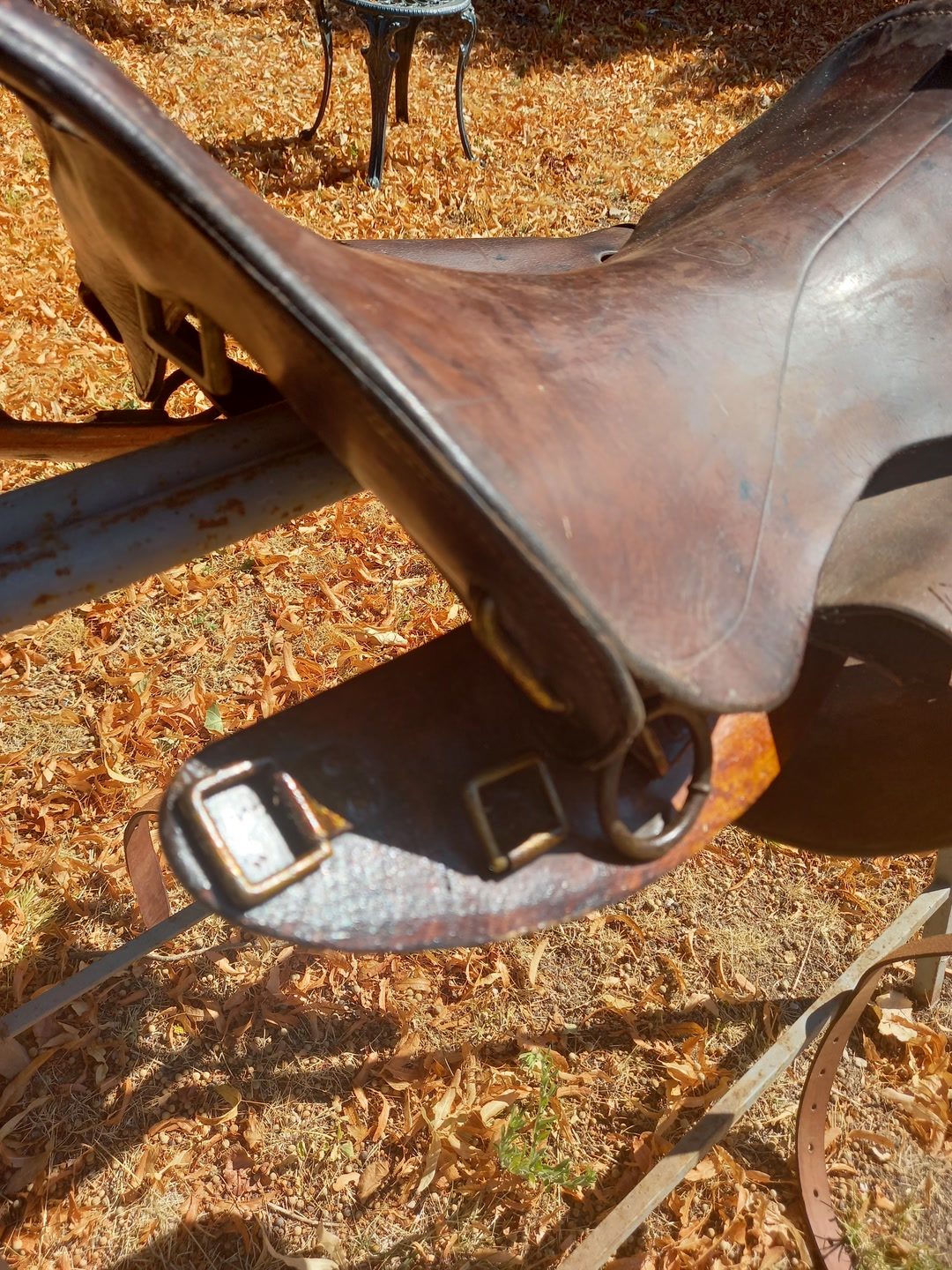 Selle ancienne cavalerie 1914, média 5