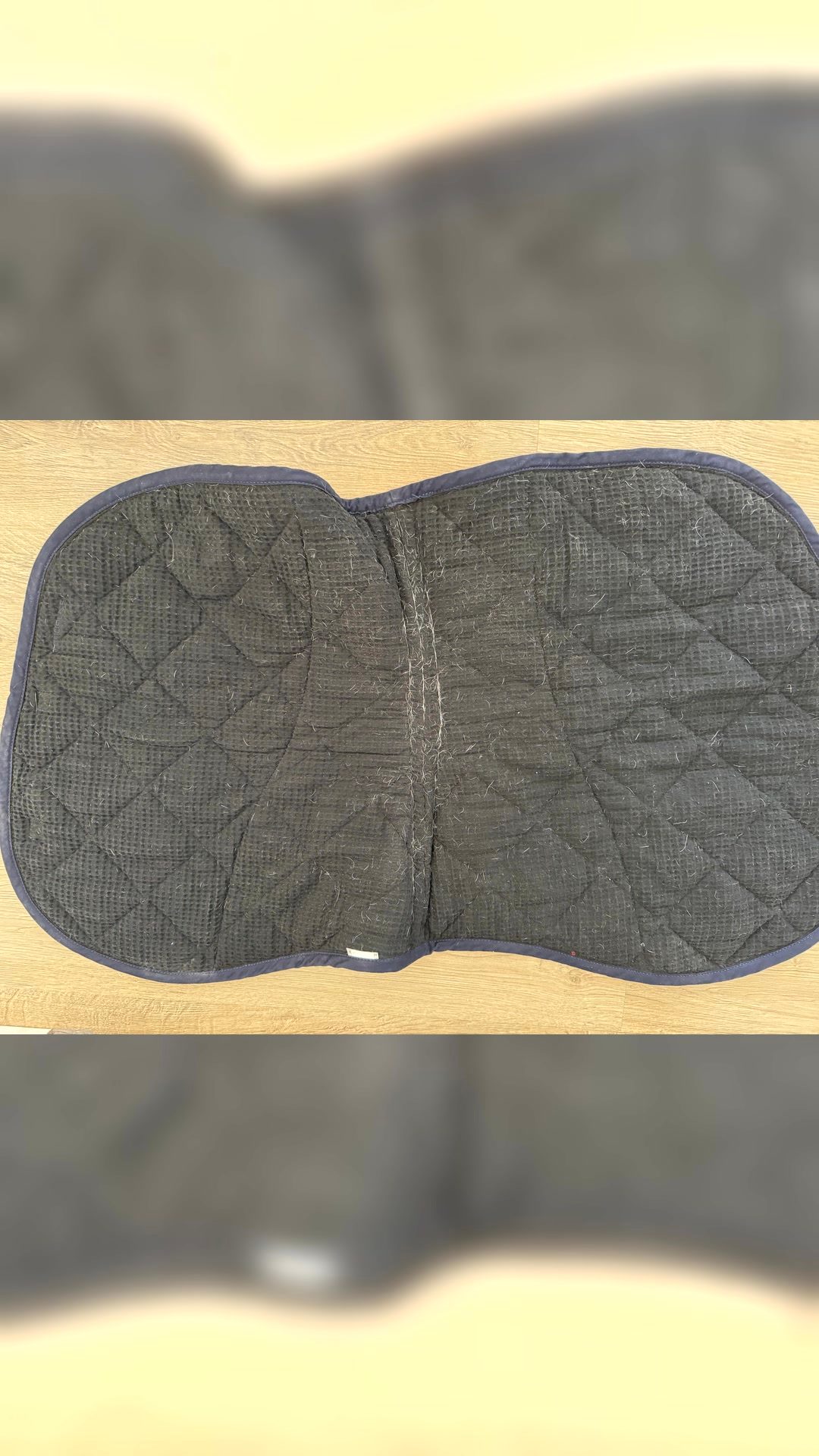 Tapis pour cheval, média 5