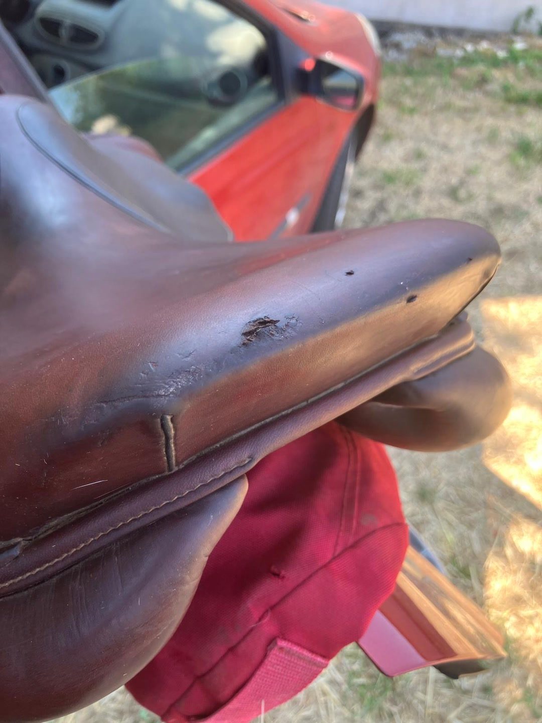 Selle CWD, média 6