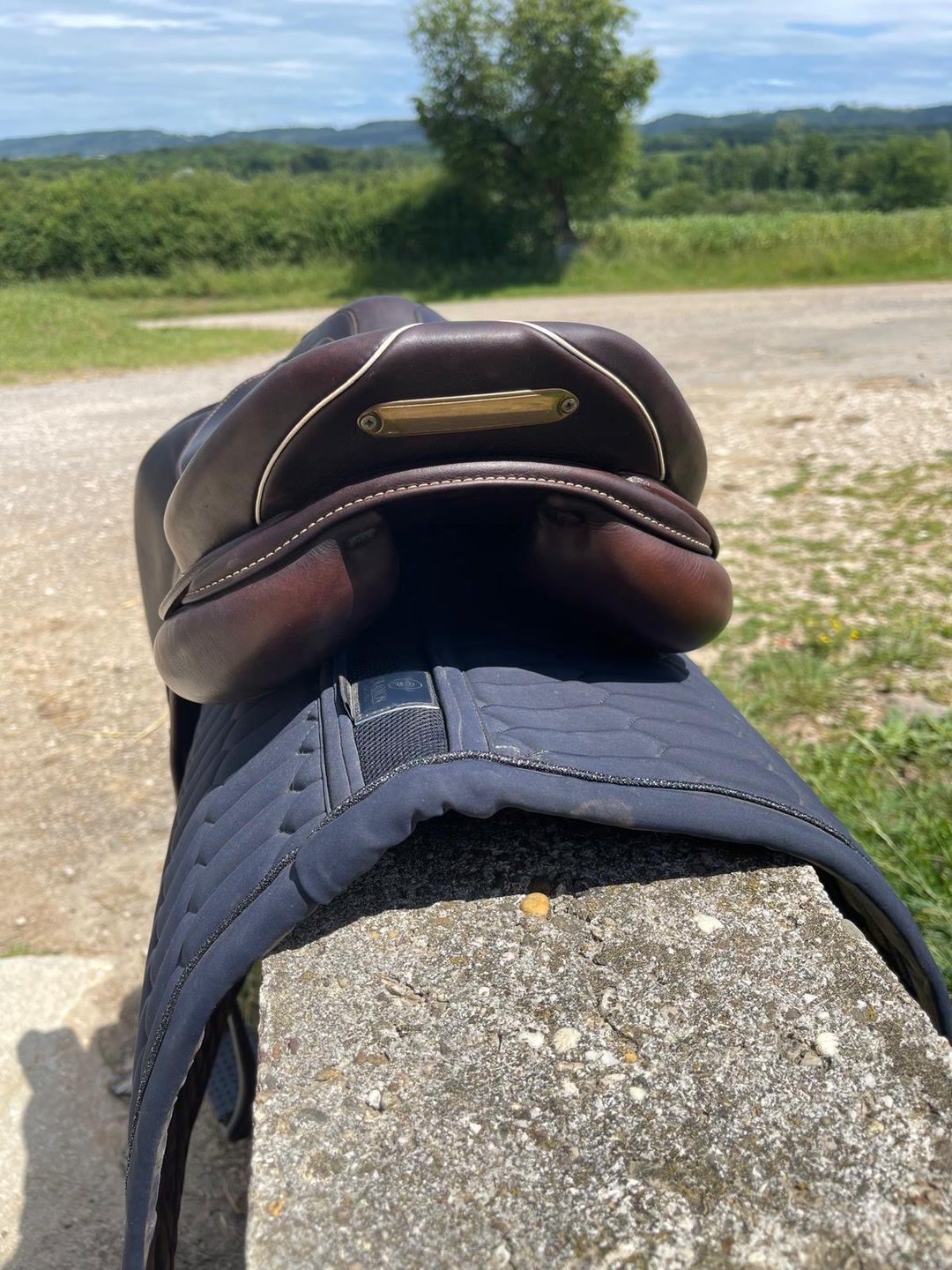 Selle prestige, média 5